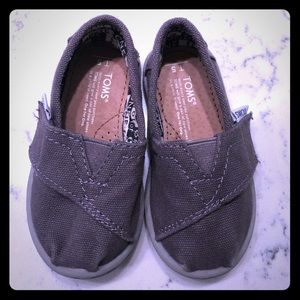 Gray Baby Toms